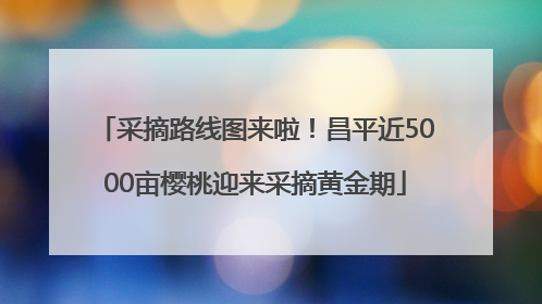 采摘路线图来啦！昌平近5000亩樱桃迎来采摘黄金期