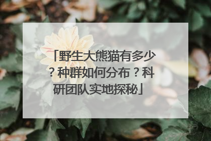 野生大熊猫有多少？种群如何分布？科研团队实地探秘