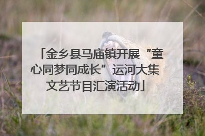 金乡县马庙镇开展“童心同梦同成长”运河大集文艺节目汇演活动