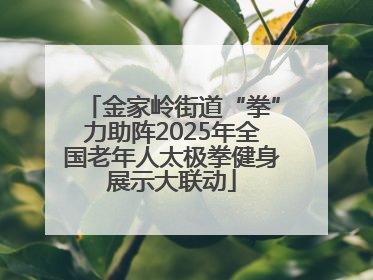 金家岭街道“拳”力助阵2025年全国老年人太极拳健身展示大联动