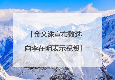 金文洙宣布败选 向李在明表示祝贺