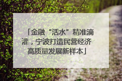 金融“活水”精准滴灌，宁波打造民营经济高质量发展新样本
