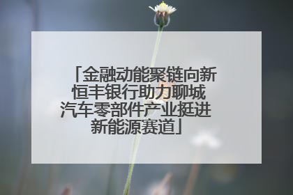 金融动能聚链向新 恒丰银行助力聊城汽车零部件产业挺进新能源赛道