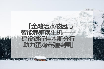 金融活水破困局 智能养殖焕生机——建设银行佳木斯分行助力蛋鸡养殖突围