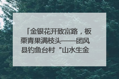 金银花开致富路，板栗青果满枝头——团风县钓鱼台村“山水生金”谱写共富新篇章