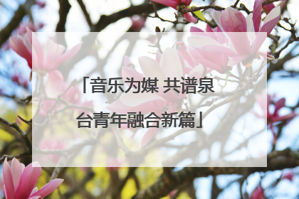 音乐为媒 共谱泉台青年融合新篇
