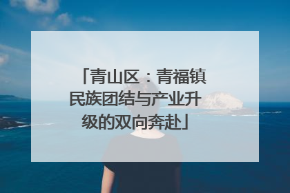 青山区：青福镇民族团结与产业升级的双向奔赴