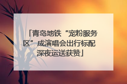 青岛地铁“宠粉服务区”成演唱会出行标配 深夜运送获赞