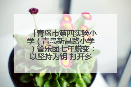 青岛市第四实验小学（青岛新昌路小学）管乐团七年蜕变：以坚持为钥 打开多元成长之门