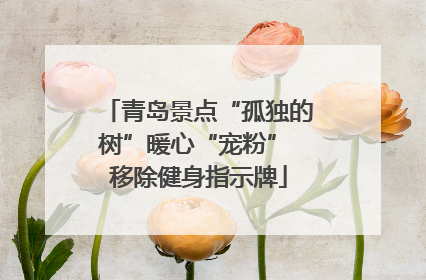 青岛景点“孤独的树”暖心“宠粉” 移除健身指示牌