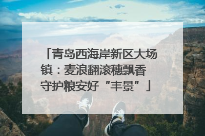 青岛西海岸新区大场镇：麦浪翻滚穗飘香 守护粮安好“丰景”