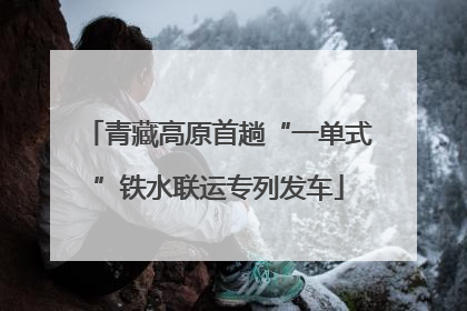 青藏高原首趟“一单式”铁水联运专列发车