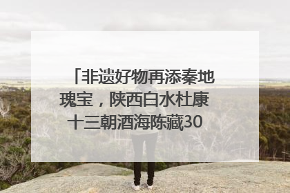 非遗好物再添秦地瑰宝，陕西白水杜康十三朝酒海陈藏30年别具一格