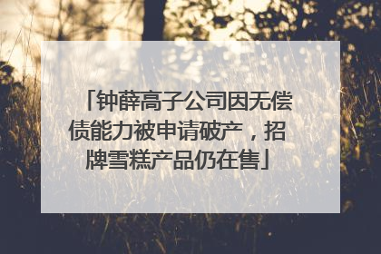 钟薛高子公司因无偿债能力被申请破产，招牌雪糕产品仍在售