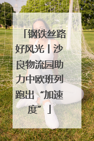 钢铁丝路好风光丨沙良物流园助力中欧班列跑出“加速度”