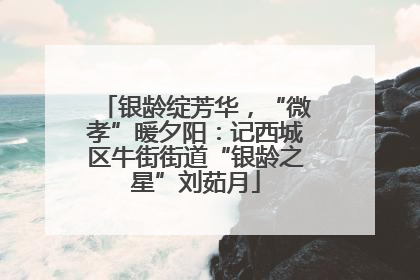 银龄绽芳华，“微孝”暖夕阳：记西城区牛街街道“银龄之星”刘茹月