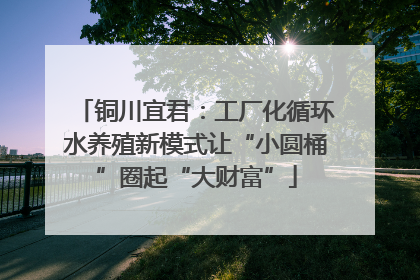 铜川宜君：工厂化循环水养殖新模式让“小圆桶”圈起“大财富”