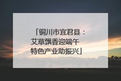 铜川市宜君县：艾草飘香迎端午 特色产业助振兴