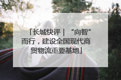 长城快评｜“向智”而行，建设全国现代商贸物流重要基地