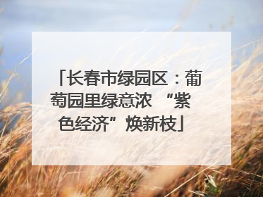 长春市绿园区：葡萄园里绿意浓 “紫色经济”焕新枝