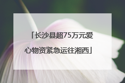 长沙县超75万元爱心物资紧急运往湘西