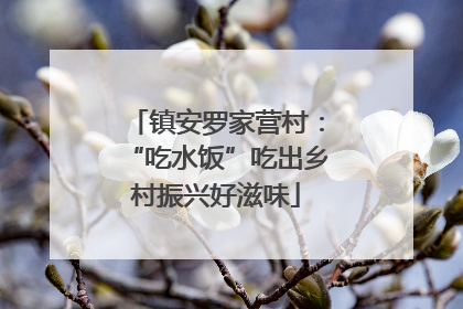 镇安罗家营村：“吃水饭”吃出乡村振兴好滋味