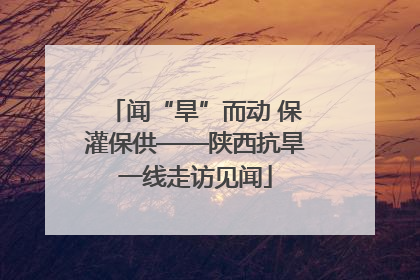 闻“旱”而动 保灌保供——陕西抗旱一线走访见闻