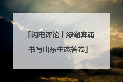 闪电评论丨绿潮奔涌 书写山东生态答卷