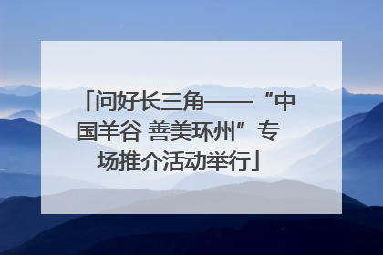 问好长三角——“中国羊谷 善美环州”专场推介活动举行