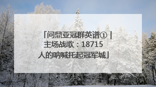 问鼎亚冠群英谱①｜主场战歌：18715人的呐喊托起冠军城