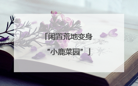 闲置荒地变身“小鹿菜园”