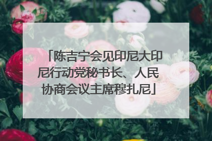 陈吉宁会见印尼大印尼行动党秘书长、人民协商会议主席穆扎尼
