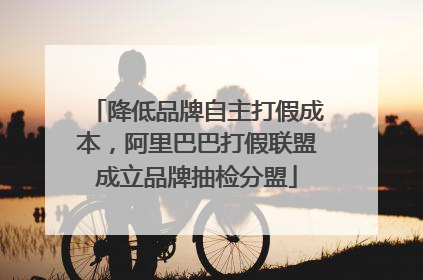 降低品牌自主打假成本，阿里巴巴打假联盟成立品牌抽检分盟