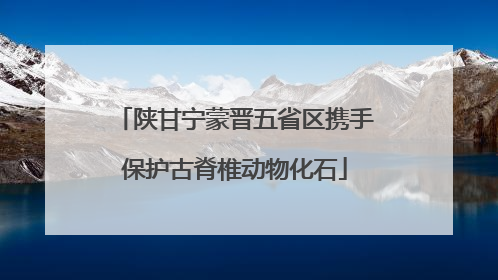 陕甘宁蒙晋五省区携手保护古脊椎动物化石