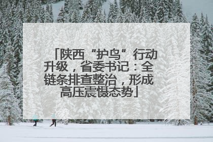陕西“护鸟”行动升级，省委书记：全链条排查整治，形成高压震慑态势