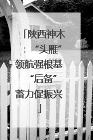 陕西神木：“头雁”领航强根基 “后备”蓄力促振兴