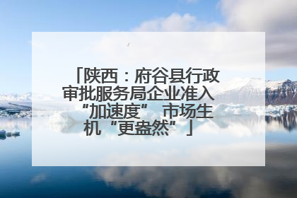 陕西：府谷县行政审批服务局企业准入“加速度” 市场生机“更盎然”