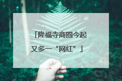 隆福寺商圈今起又多一“网红”