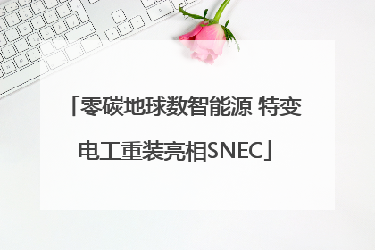 零碳地球数智能源 特变电工重装亮相SNEC