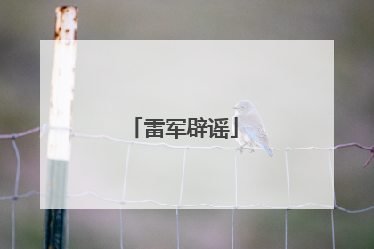 雷军辟谣