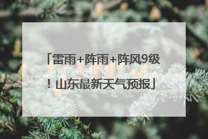 雷雨+阵雨+阵风9级！山东最新天气预报