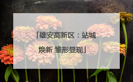 雄安高新区：站城焕新 雏形显现