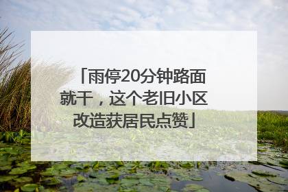 雨停20分钟路面就干，这个老旧小区改造获居民点赞