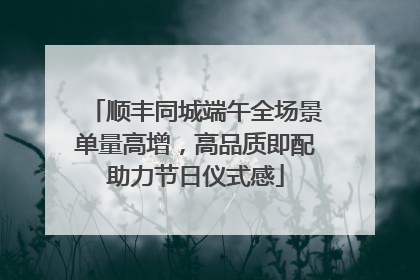 顺丰同城端午全场景单量高增，高品质即配助力节日仪式感