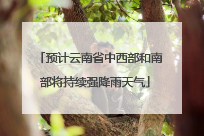 预计云南省中西部和南部将持续强降雨天气