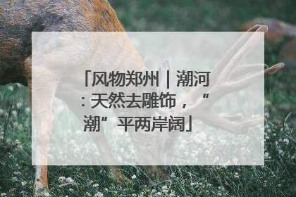 风物郑州｜潮河：天然去雕饰，“潮”平两岸阔