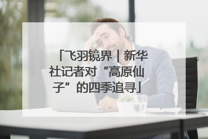 飞羽镜界｜新华社记者对“高原仙子”的四季追寻