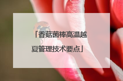 香菇菌棒高温越夏管理技术要点