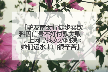 驴友南太行徒步买饮料因信号不好付款失败，上网寻找卖水阿姨：她们运水上山很辛苦