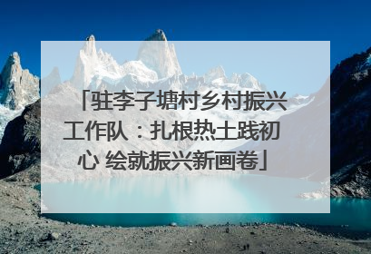 驻李子塘村乡村振兴工作队：扎根热土践初心 绘就振兴新画卷